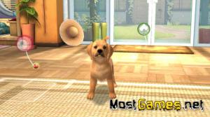 PlayStation Vita Pets выходит уже 4 июня